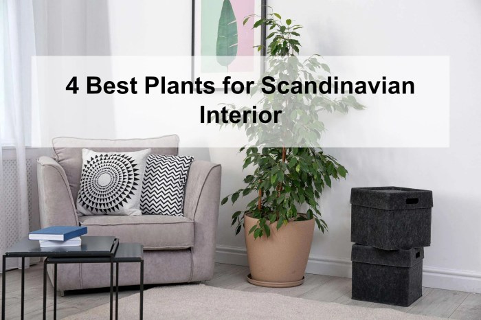 Decor scandinavian style choose board